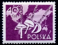 1957 Polonia - Campionato del mondo, Varsavia a.jpg